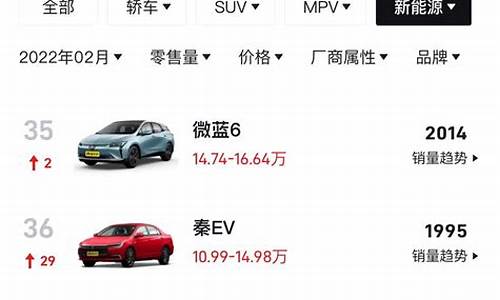 新能源4座车_四座新能源汽车排名榜一览表最新